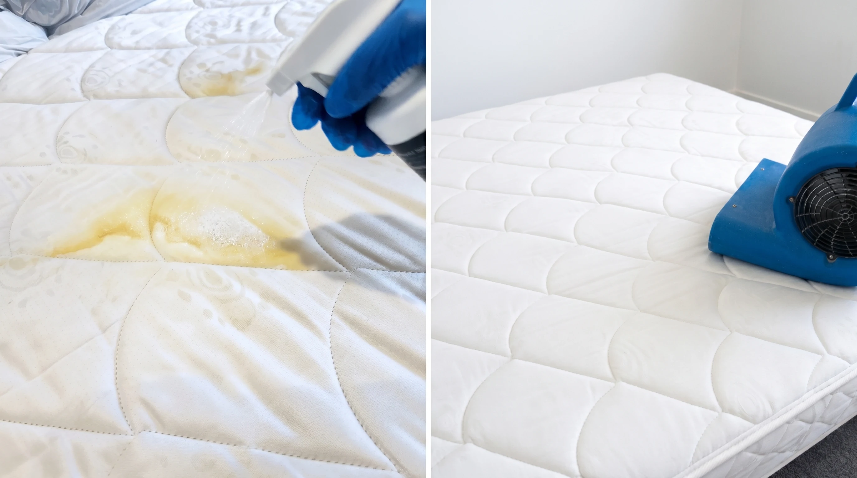 Mattress stain removal — before and after